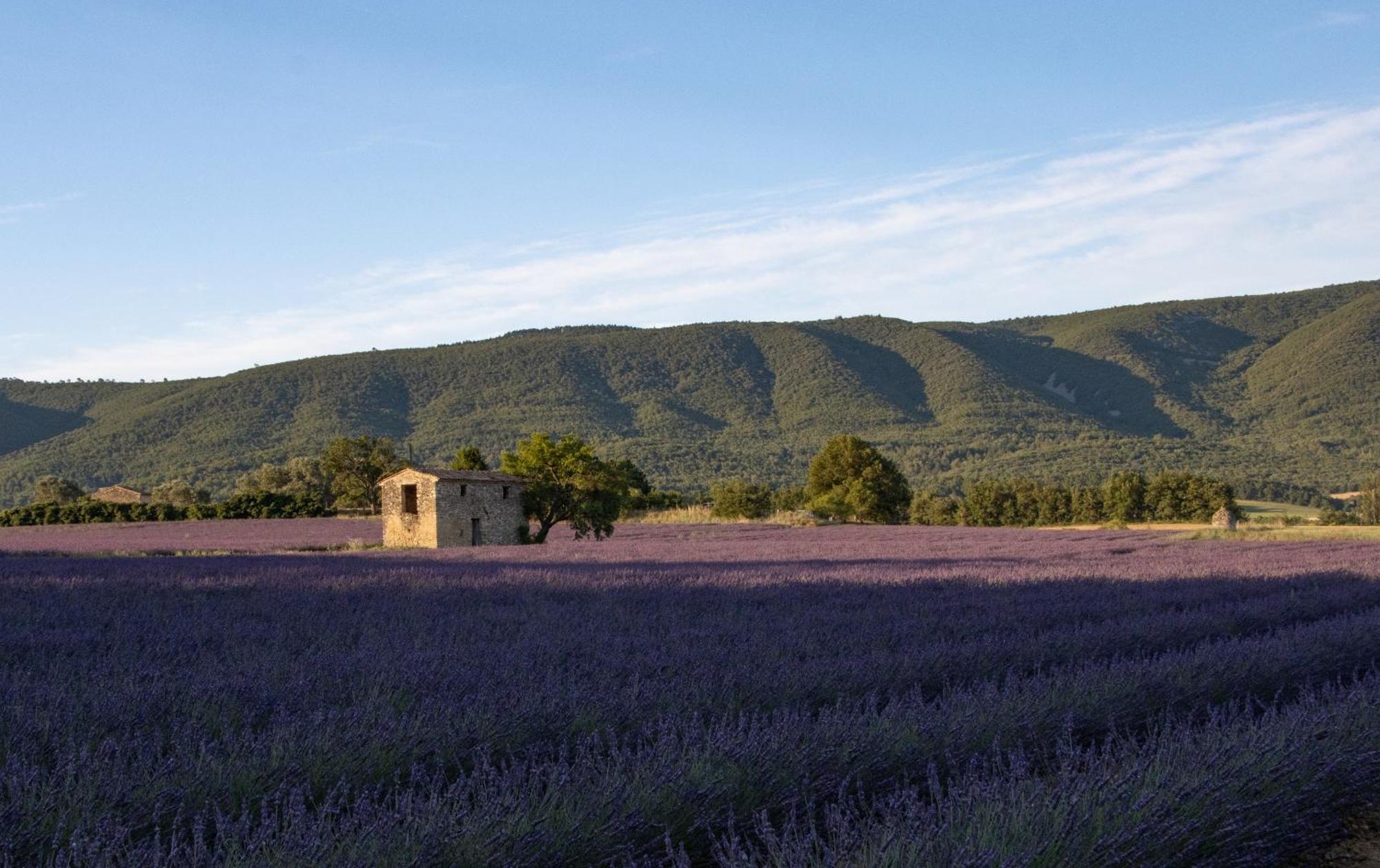 Homestay Dans Le Luberon *